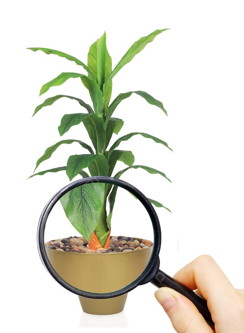 Alrassi Artificial Green Tree – 135 cm Height with Plastic Pot – Realistic Natural Look – Ideal for Home and Office Décor - Image 3